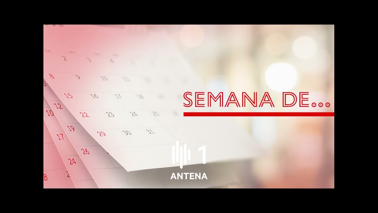 Entrevista de Sónia Passos, Diretora de Serviços de Comunicação ao Consumidor, à Antena 1