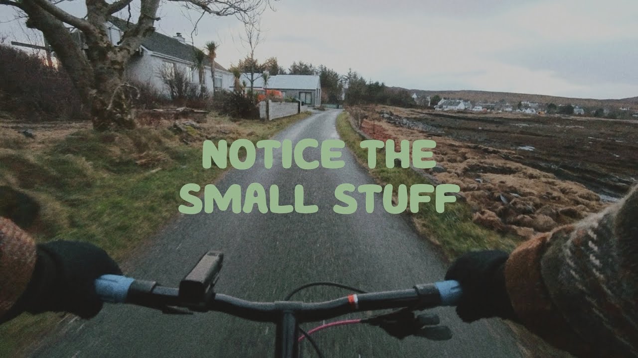 Ride bikes, take photos
