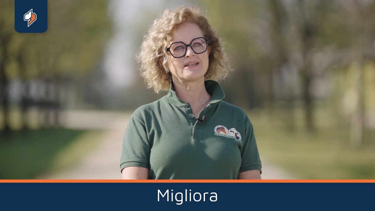 Come Barbiselle ha reso la sua stalla più efficiente grazie ai dati | Case Study DTM