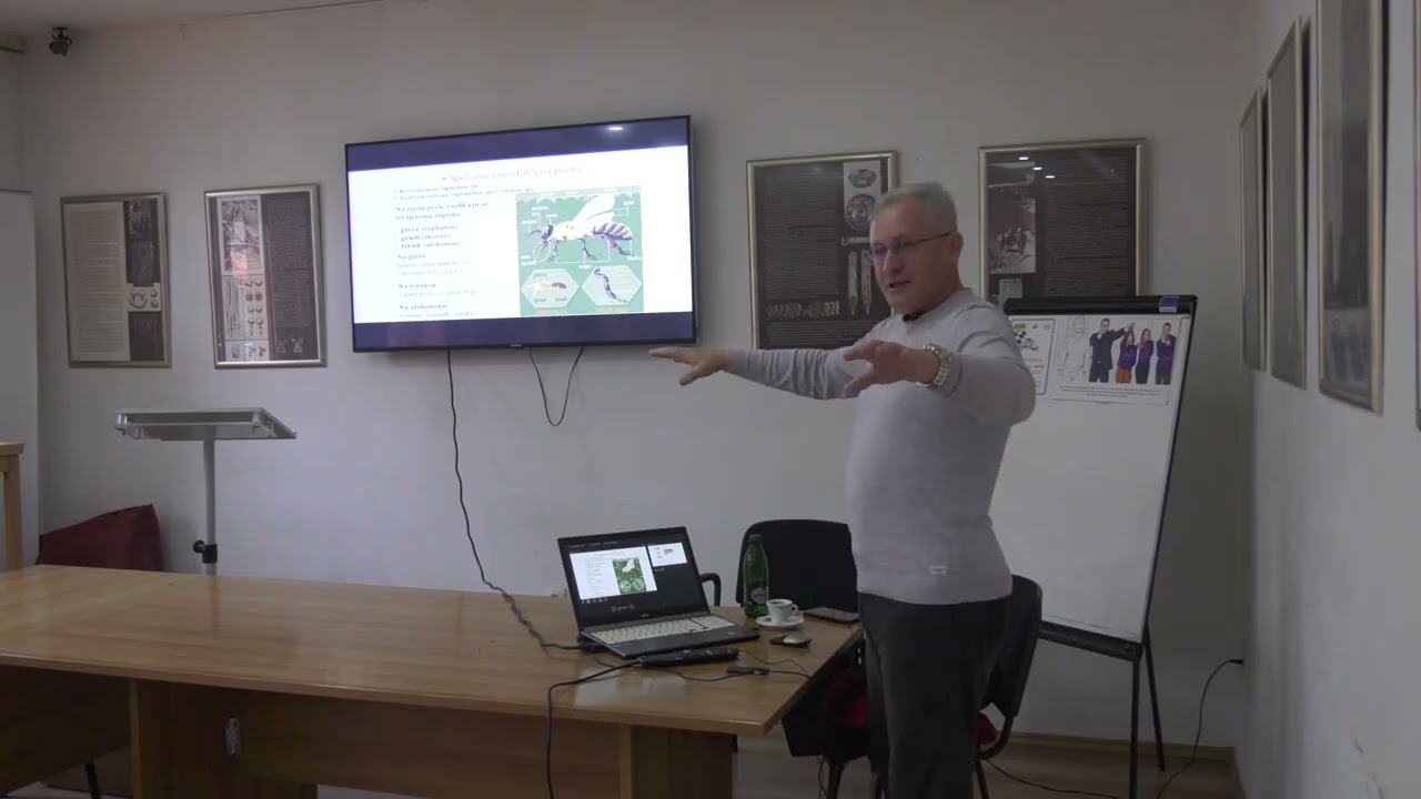 Sulejman Alijagić: 