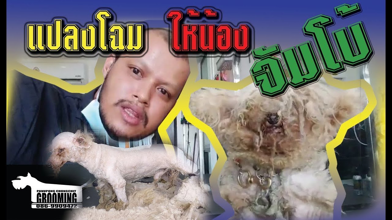 ช่างท้อป - แปลงโฉมให้น้องจัมโบ้