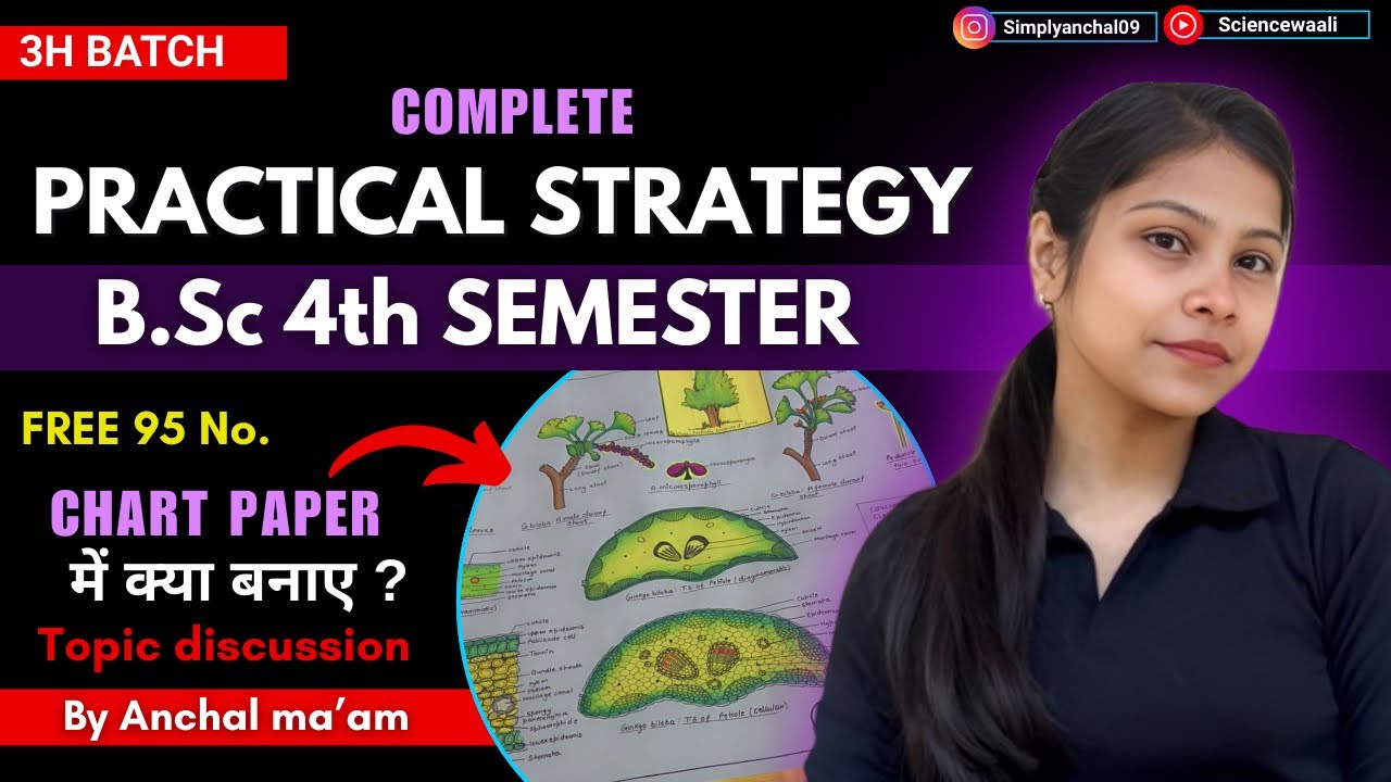 BSc 4th Semester Practical chart paper tips and tricks🔥💯Practical strategies for * FREE MARKS *