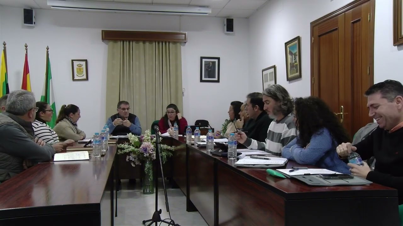 Pleno Ordinario 29 enero 2026