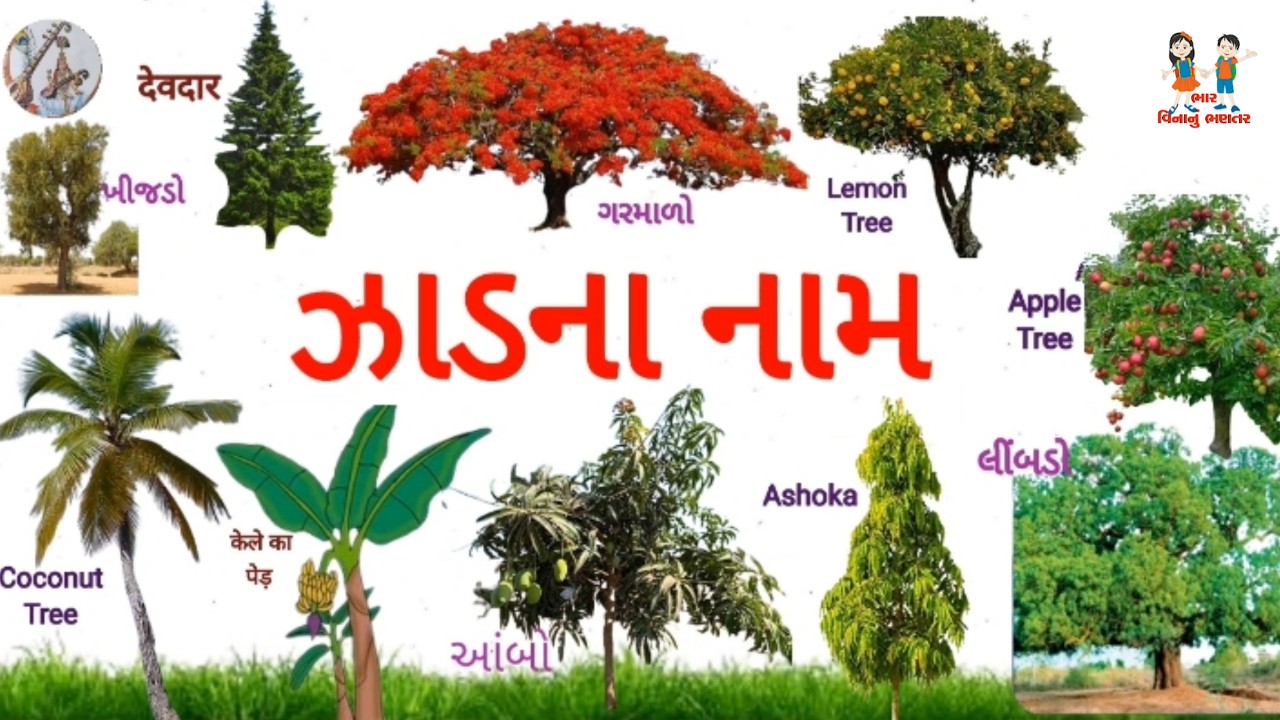 ઝાડ ના નામ | Tree Name In Gujarati, Hindi , English | વૃક્ષો ના નામ ગુજરાતી | Trees