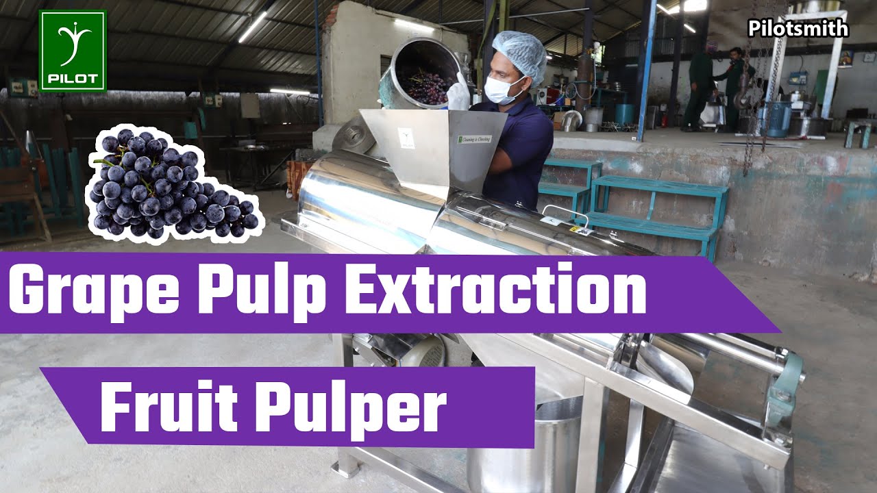 Fruit Pulper | Grape Pulp Processing | Jams, Jellies, Sweets