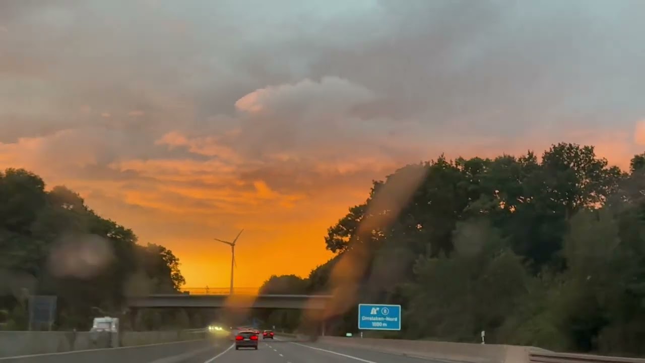 لەیلای نەمامی ژیانم 