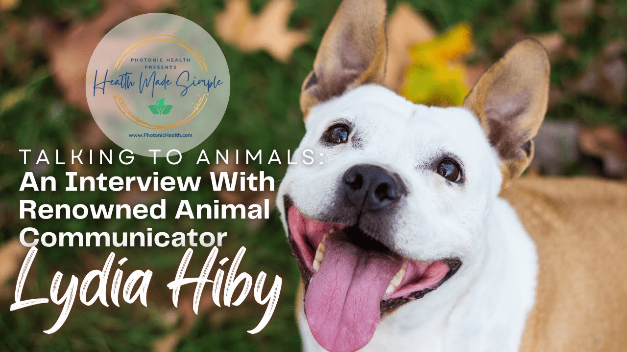 Talking to Animals: An Interview With Renowned Animal Communicator Lydia Hiby