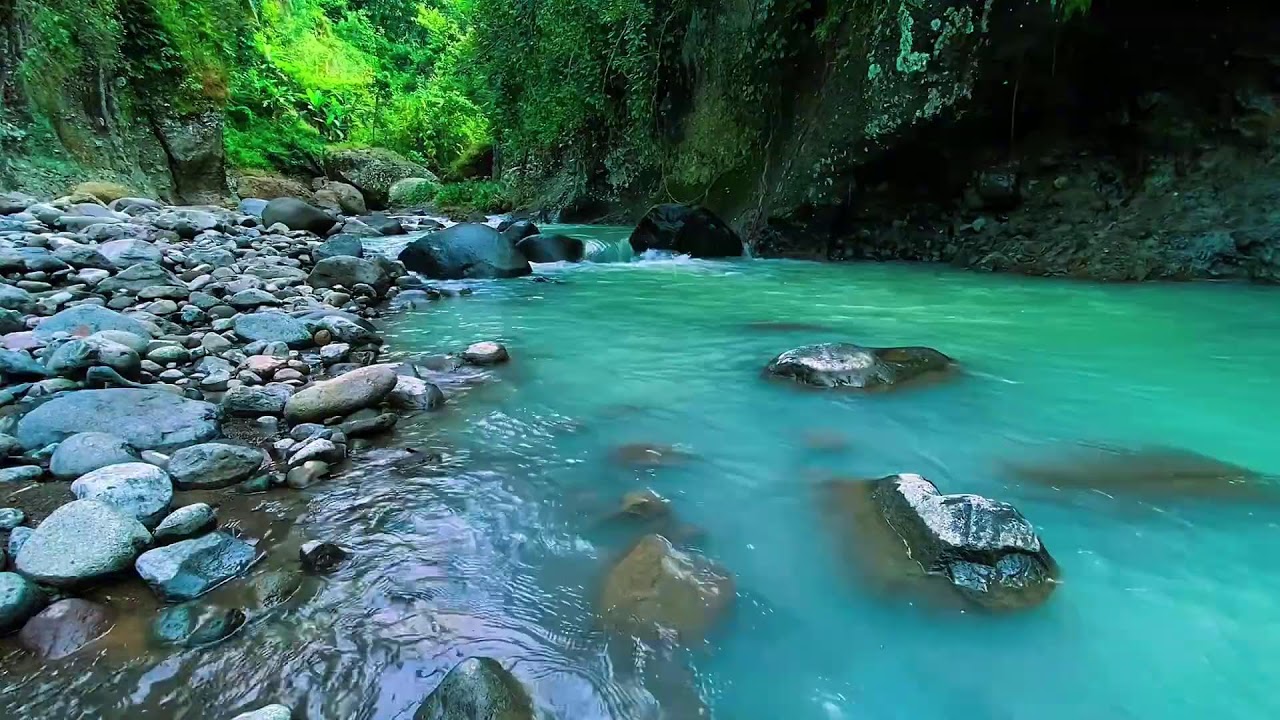 Mountain Stream Gentle Water Sounds, Forest River, Sleeping