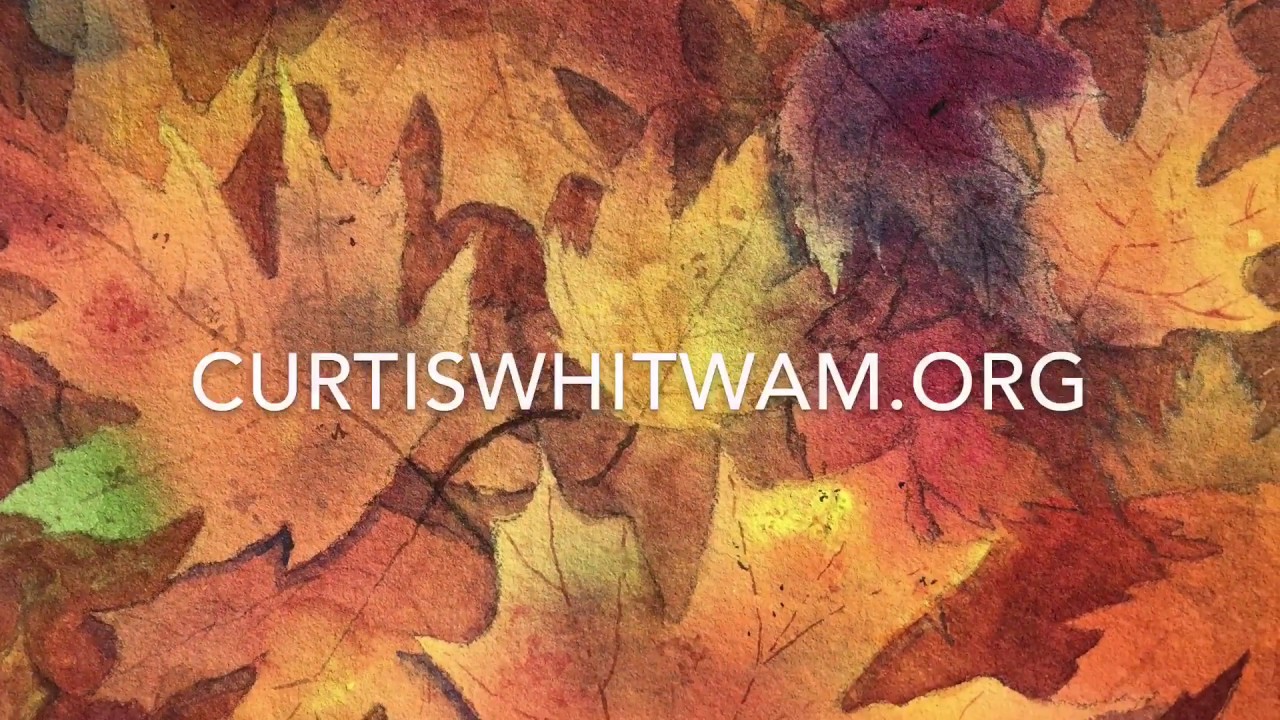 How to Paint Fall Leaves Watercolor