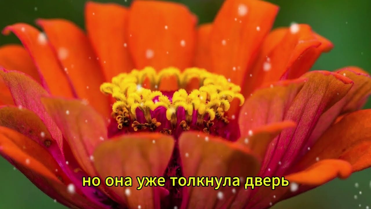 Способный юноша помог как мог…