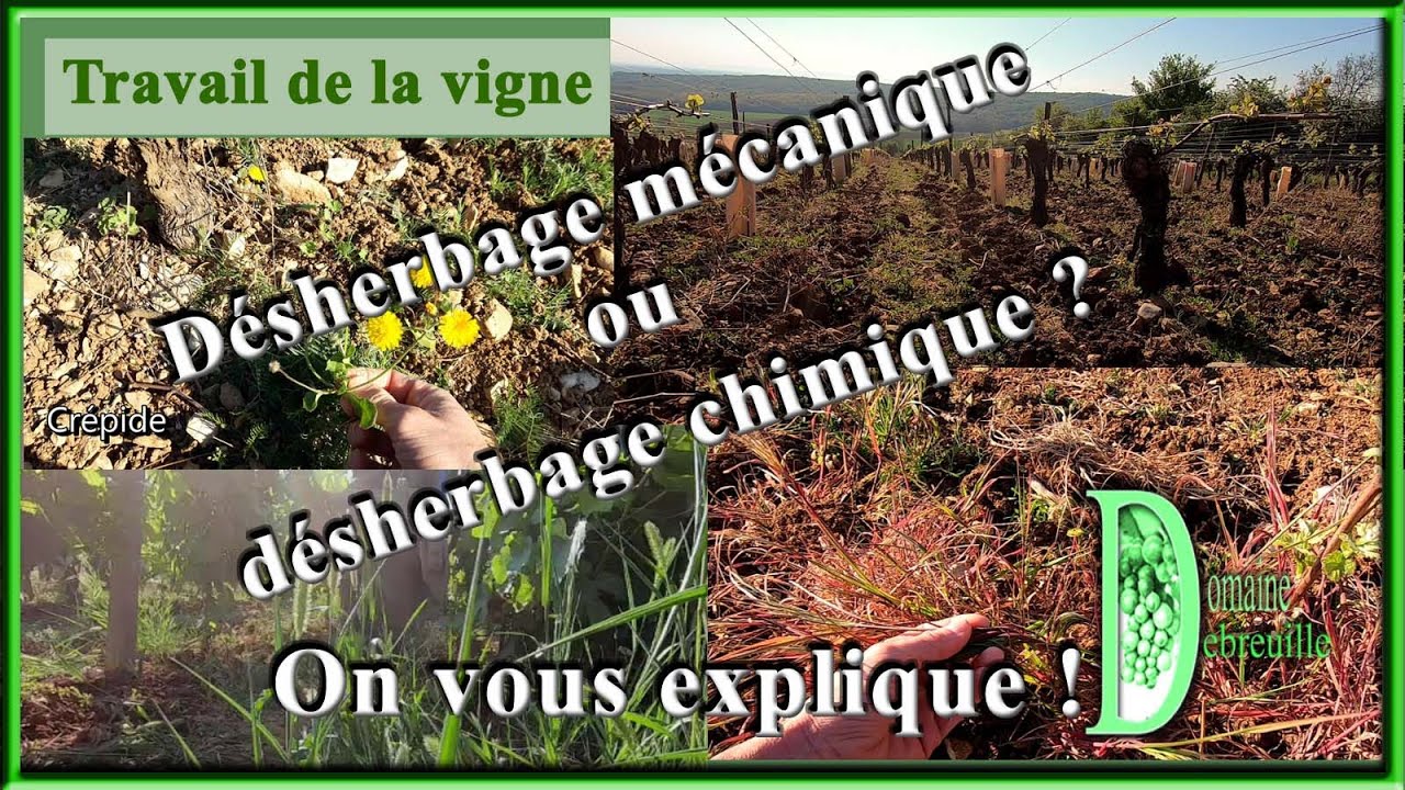 Entretien des sols : d&eacute;sherbage m&eacute;canique et chimique