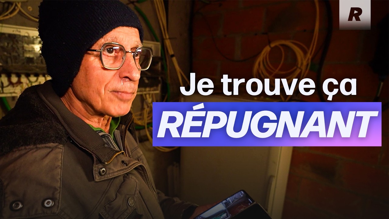 Ils vivent dans des immeubles envahis par les rats