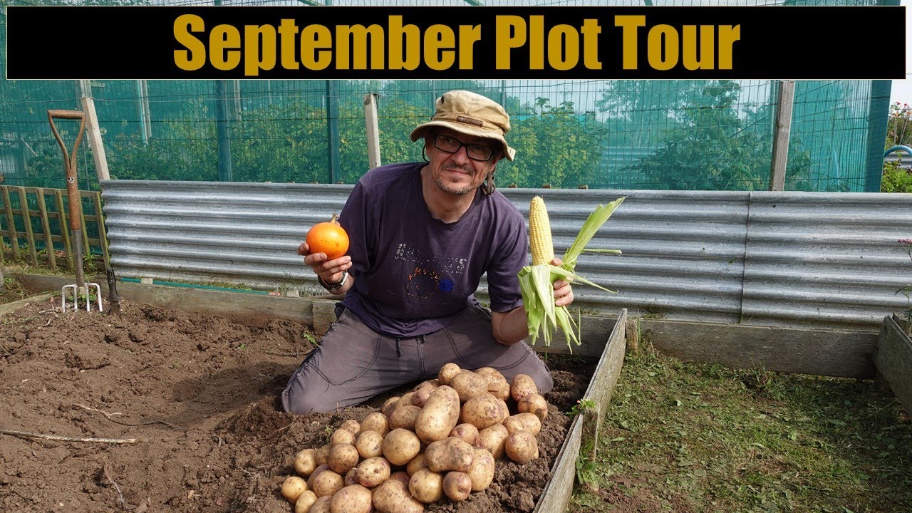 September Allotment Plot Tour - Tour of the Allotment Plot in September