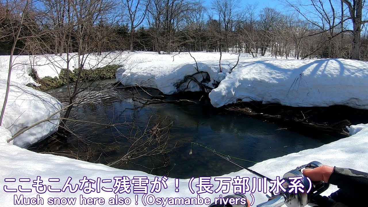 長万部川水系も雪が・・・（Much snow in Osyamanbe rivers）（今日も釣り歩く 3/31 2022, 31 Mar. 2022)