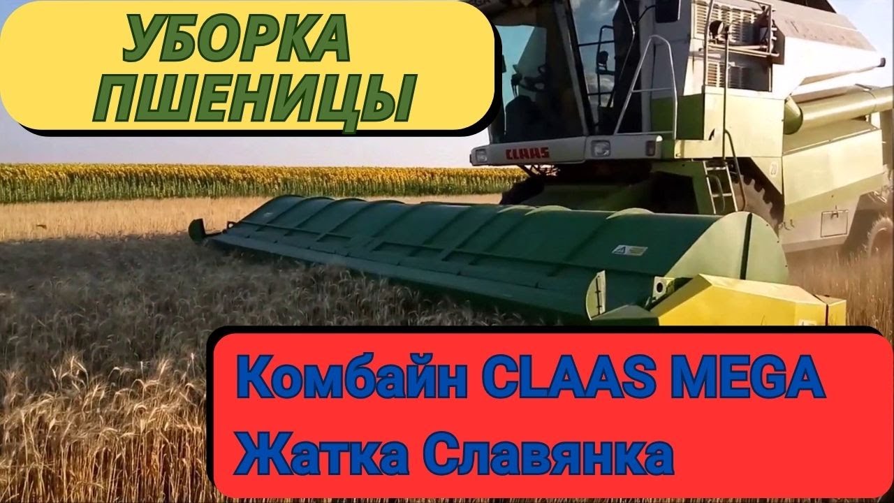 Очесывающая жатка "Славянка УАС-7" с комбайном CLAAS MEGA 350. Уборка пшеницы 