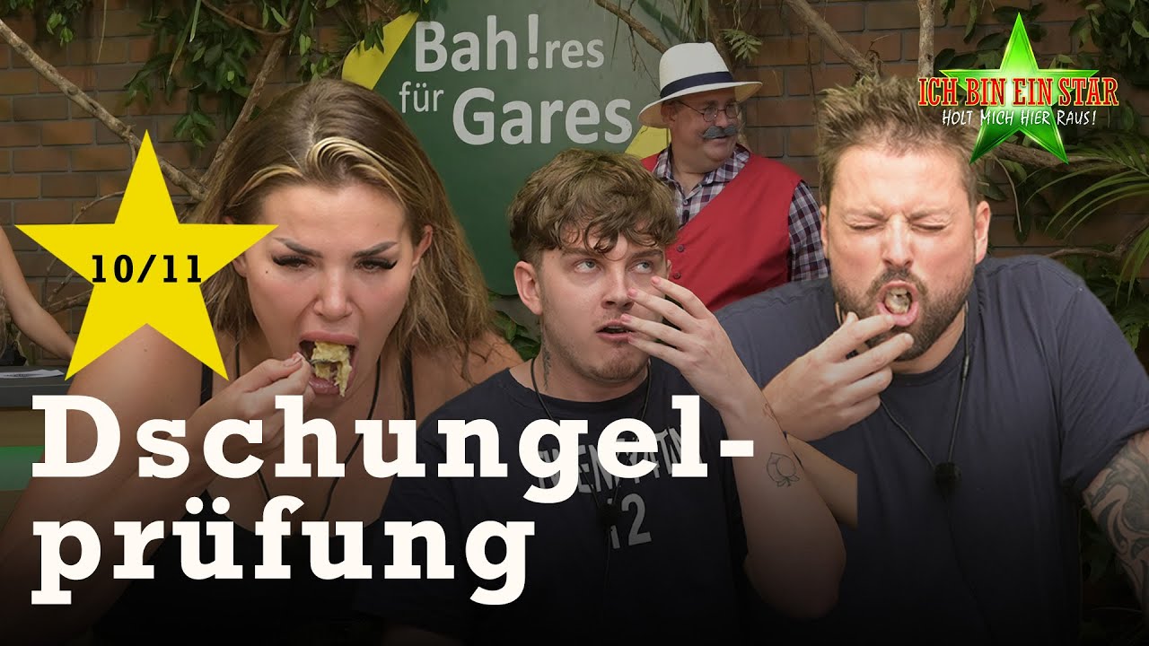 Tim, Kim & Felix in der Essenspr&uuml;fung 