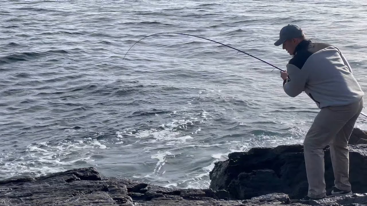 Lure Fishing the Lizard Peninsula | Pollack & a Surprise Bass | The Fal Anglers