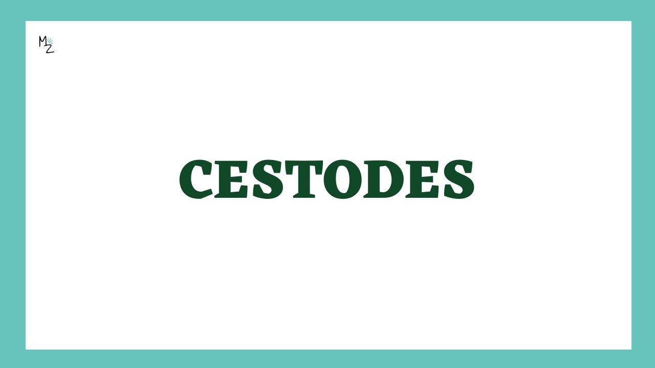 Cestodes Parasitology | Introduction to Tapeworms  | MEDZUKHRUF