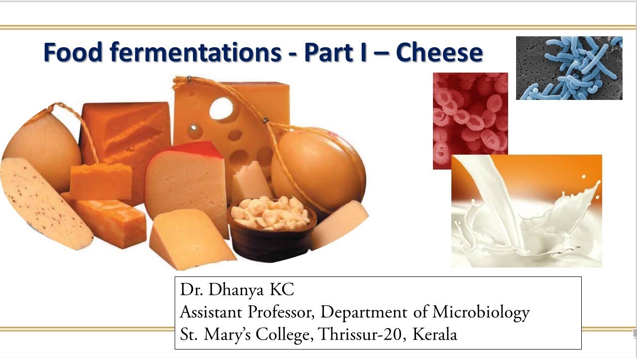 Food fermentations - Part I - Cheese Fermentation