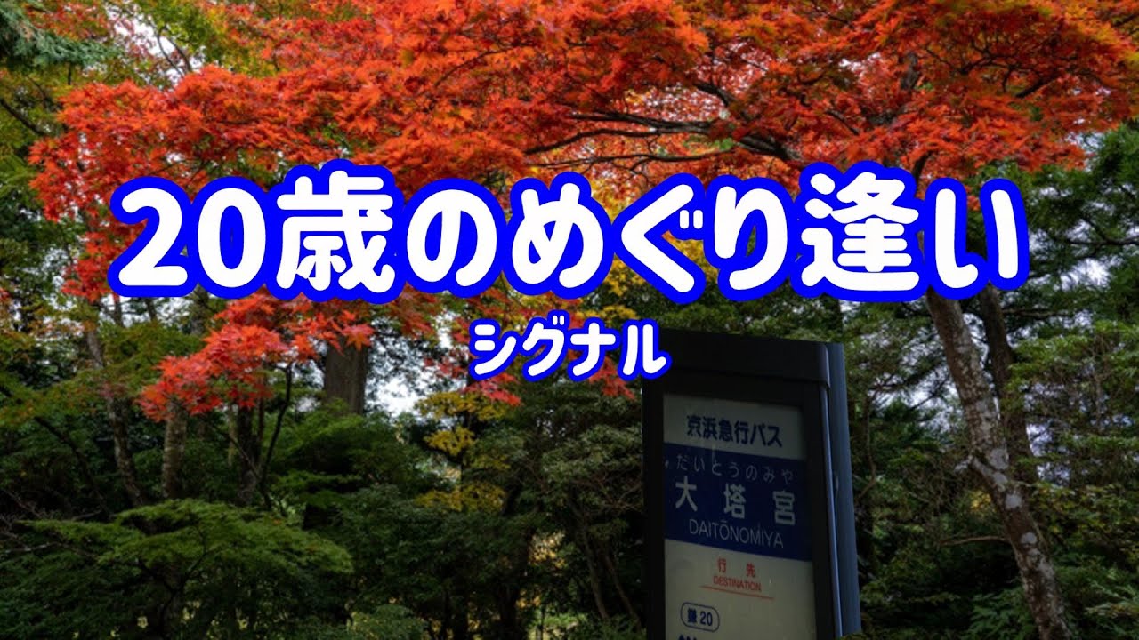 シグナル 20歳のめぐり逢い
