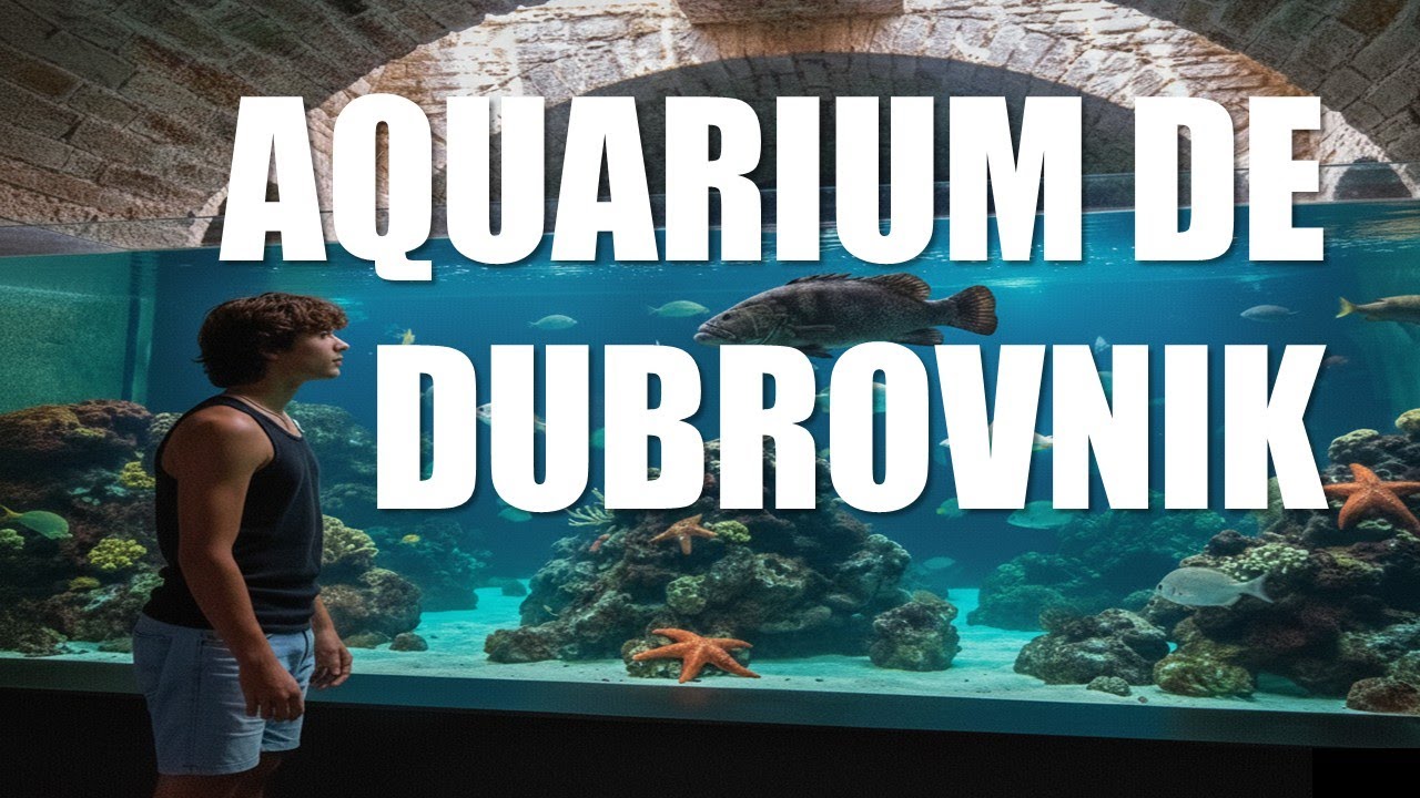 AQUARIUM DE DUBROVNIK : la vie marine au cœur de la vieille ville