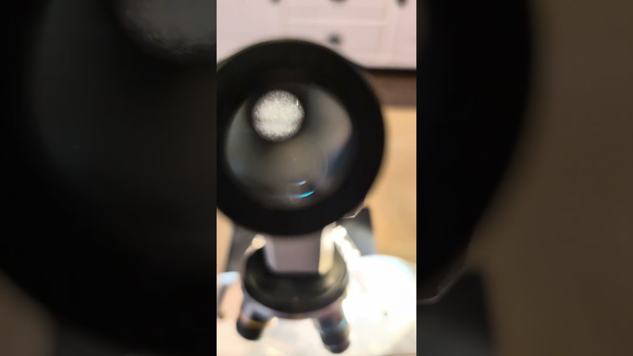 Chip 40x magnification #microscope #shortvideo #shorts