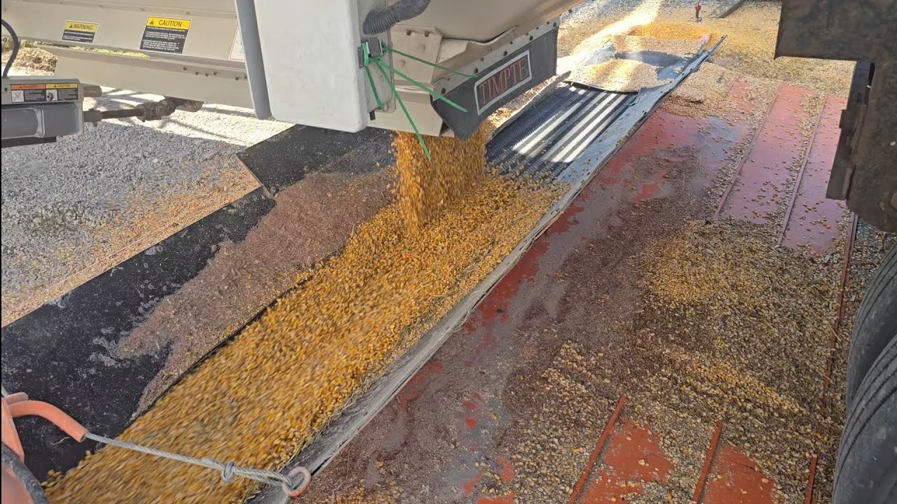 Grain Storage Shortage! Tarrifs, Basis and govt shutdowns, forcing farmers to store a record crop 