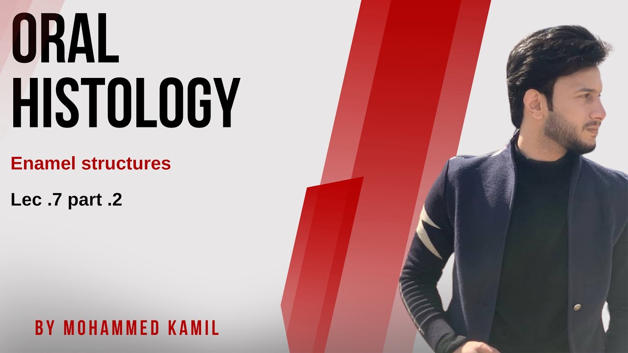 Oral histology lec. 7 - part 2 (Enamel Structures)