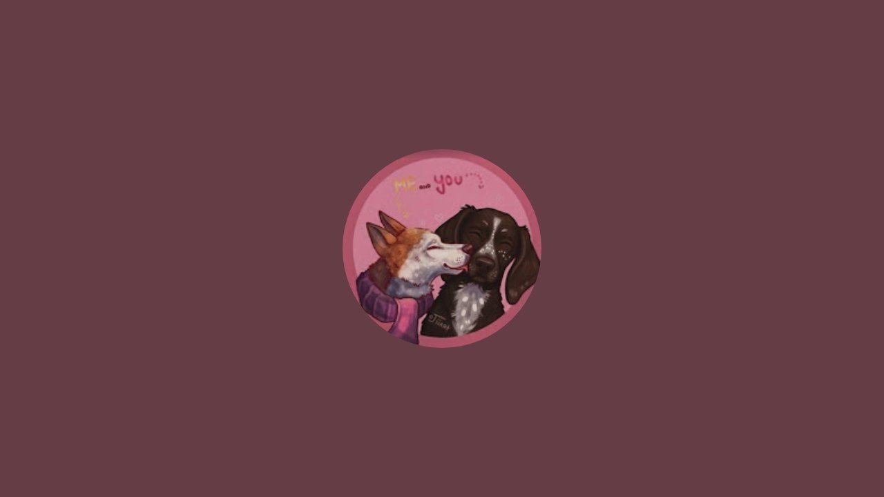 _ Julias dog's _ в прямом эфире!