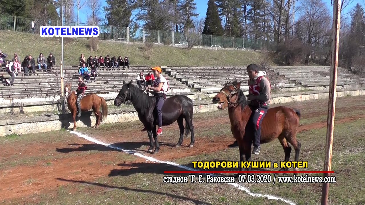 Тодорови КУШИИ Котел ‘2020 / www.kotelnews.com
