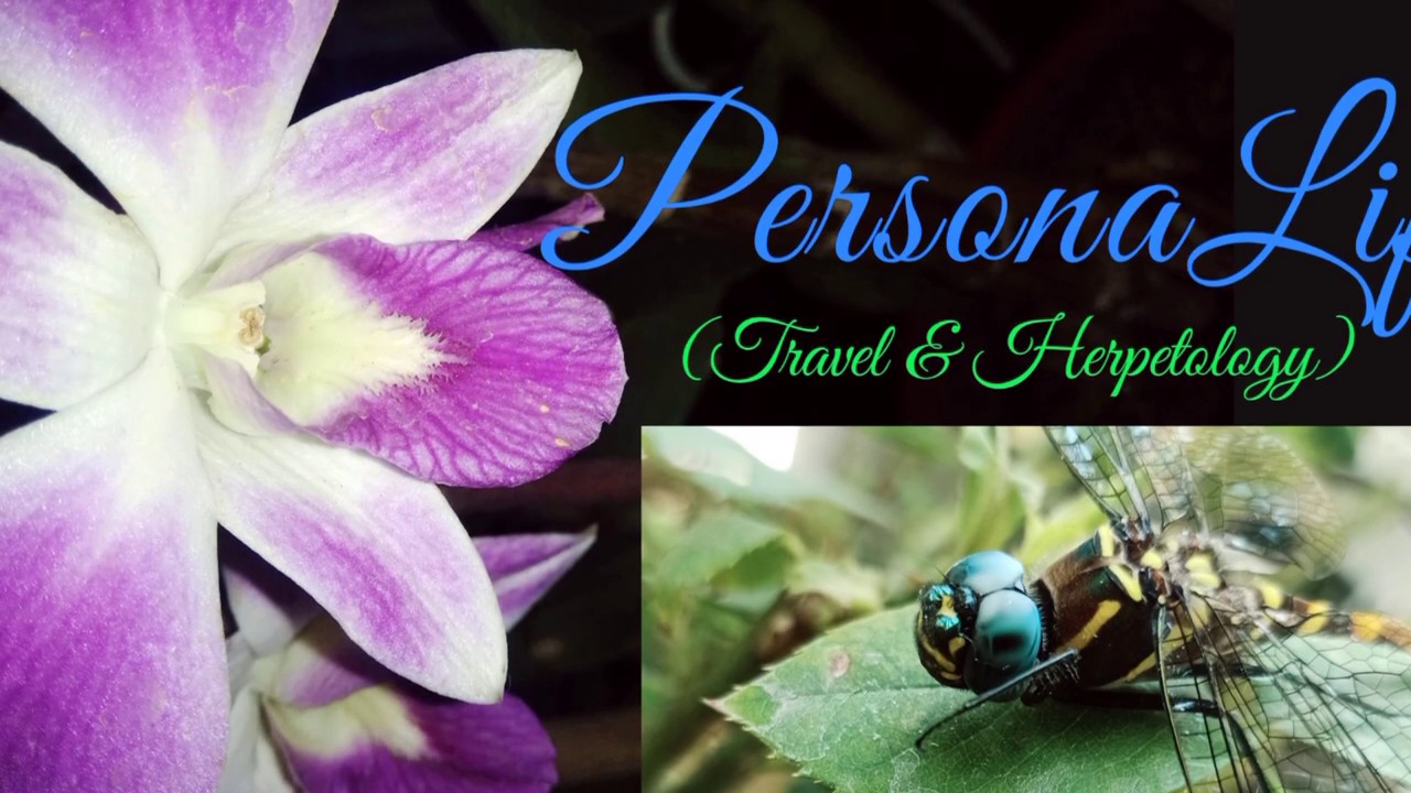 Exploring | Nature | Personalife.org