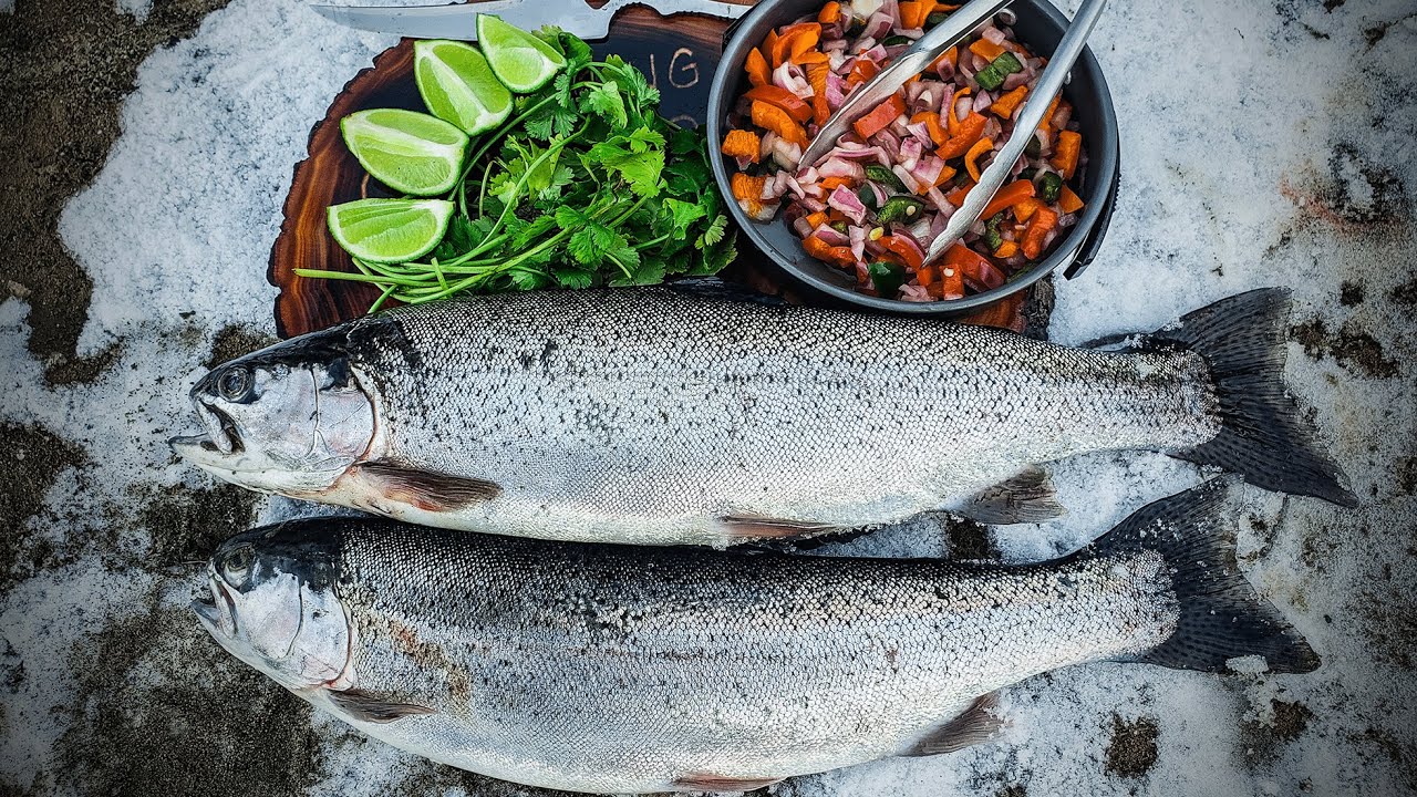 Winter Bank Fishing for Rainbow Trout - Catch & Cook (Simple Shore Lunch)