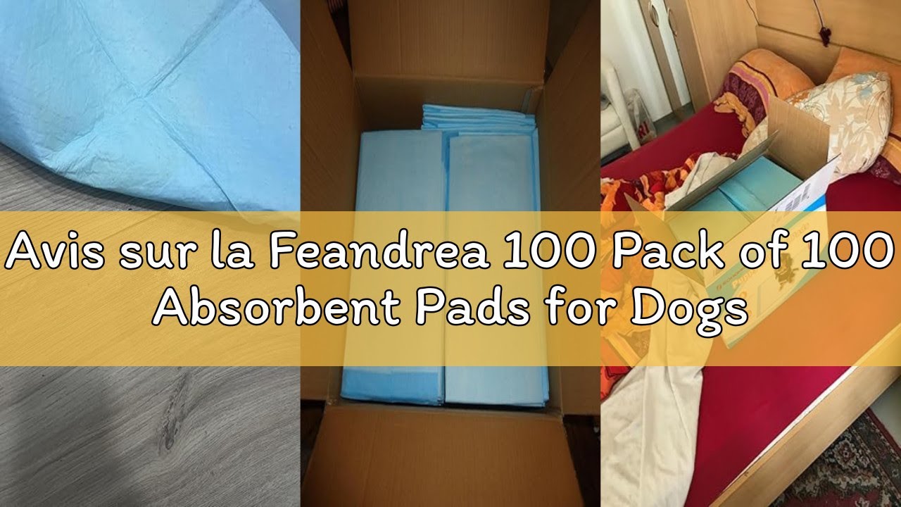 Avis sur la Feandrea 100 Pack of 100 Absorbent Pads for Dogs and Puppies, Leak-Proof and Quick Dry,