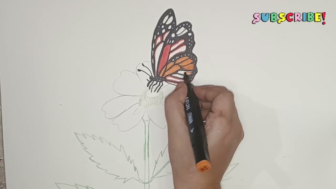 How to Draw a Butterfly on a Flower | Easy Drawing for Beginners