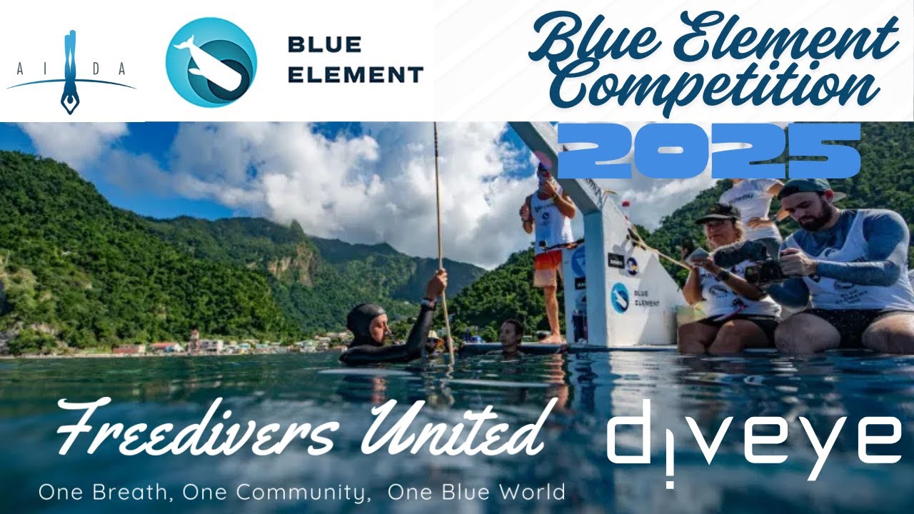 BLUE ELEMENT COMPETITON 2025 DAY 3