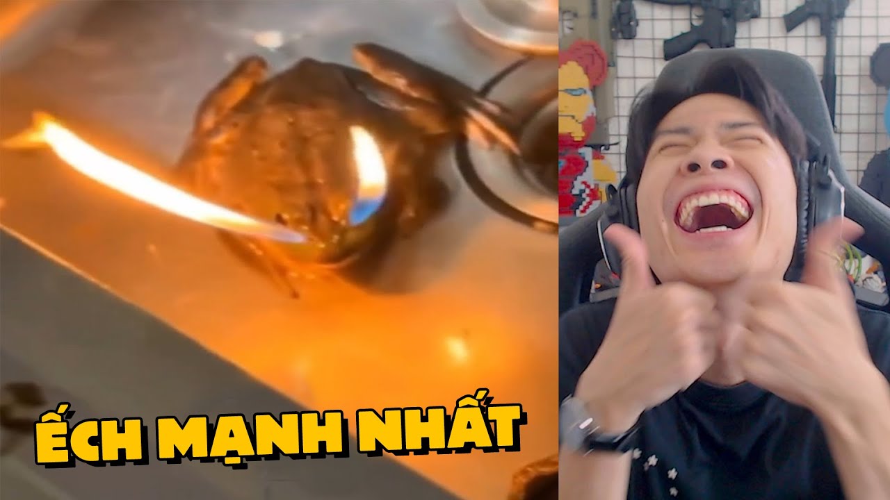 TTCC HAY NHẤT 2025 ... ẾCH mạnh nhất lịch sử !!! (Pobbrose TTCC) ✔