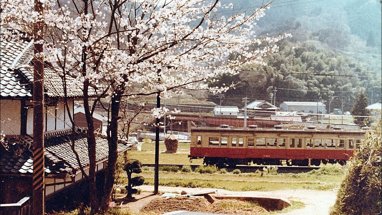 吉野口駅界隈　桜の情景　昭和54年春(1979)