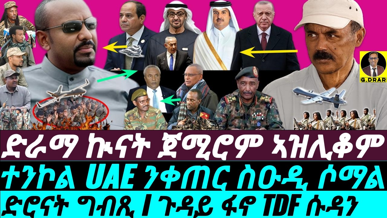 Feb-02 ድራማ ኲናት ጀሚሮም ኣዝሊቆም I ተንኮል UAE ንቀጠር ስዑዲ ሶማል I ድሮናት ግብጺ I ጉዳይ ፋኖ TDF ሱዳን