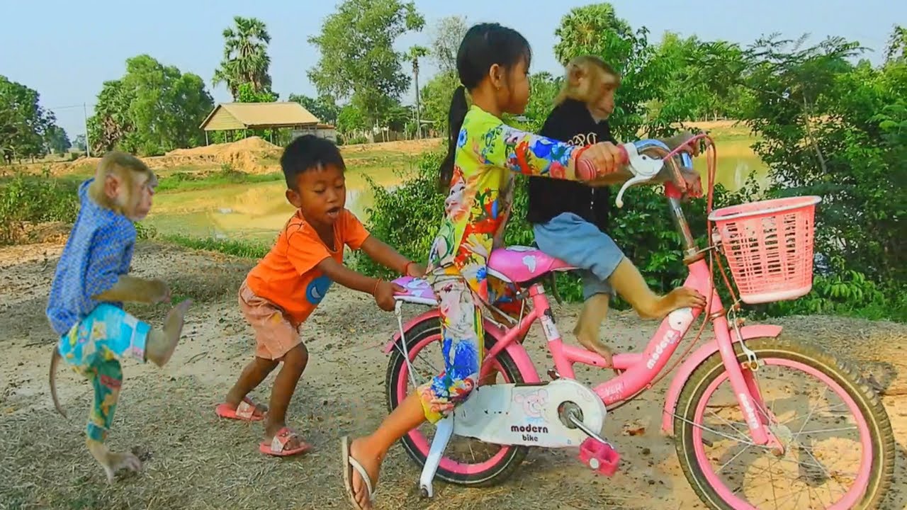 Happy Life ! Vithu's Family Have A Peaceful Life At Countryside