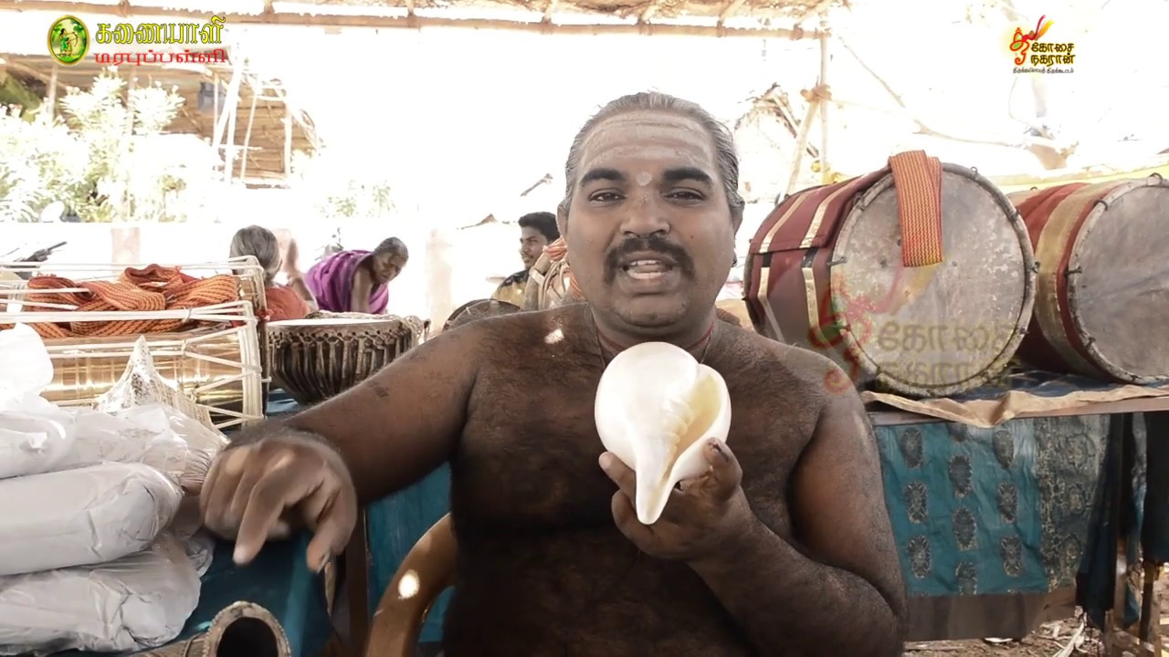 Sangu | Collection of Kailaya Vathyam | Ancient Musical Instruments