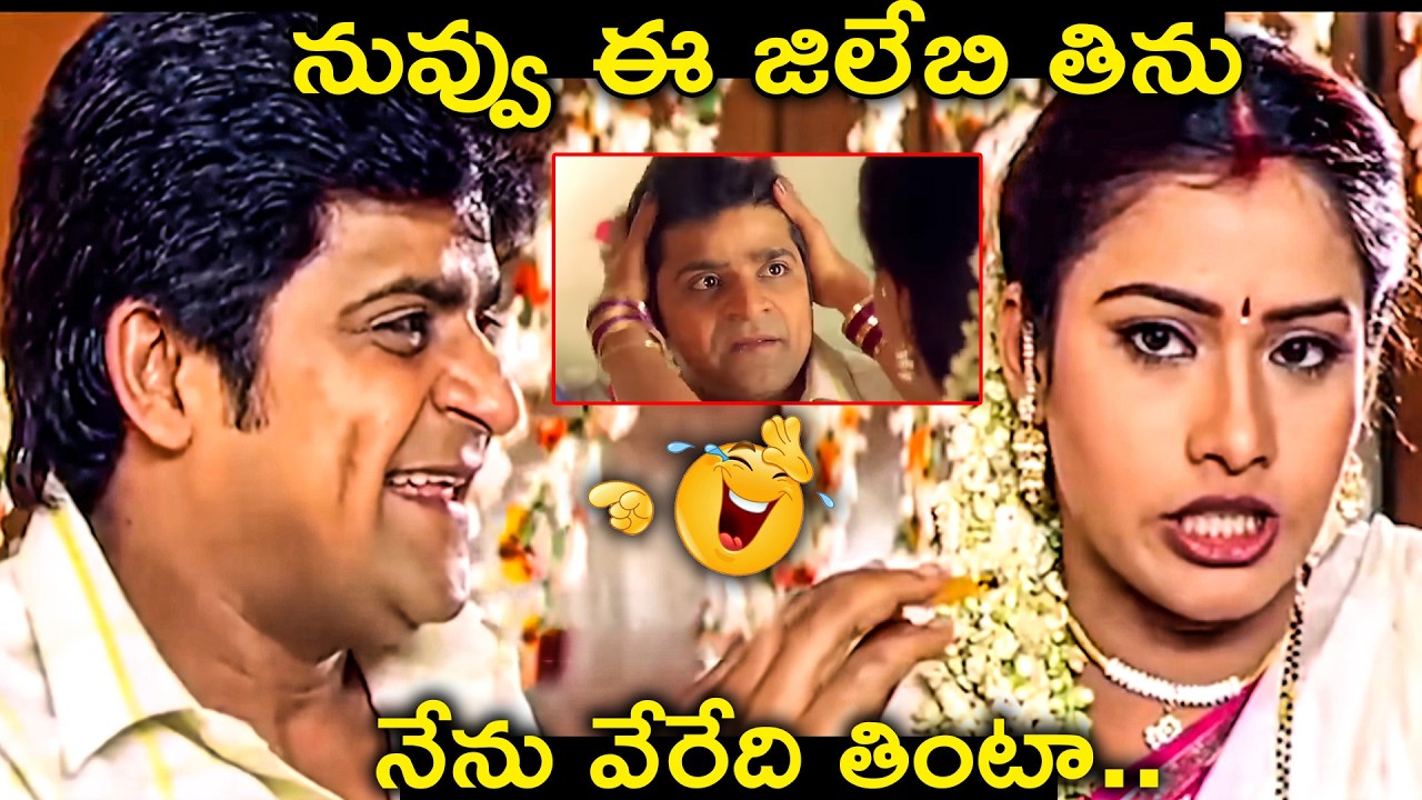 Comedian Ali Back 2 Back Crazy Comedy Scenes | Ali Wife Super Hit Comedy Scene | Best Telugu Comedy