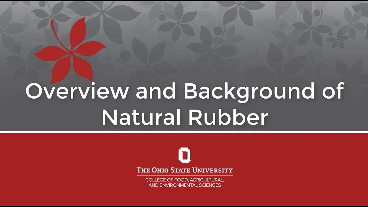 Rubber Dandelion: Overview and Background of Natural Rubber
