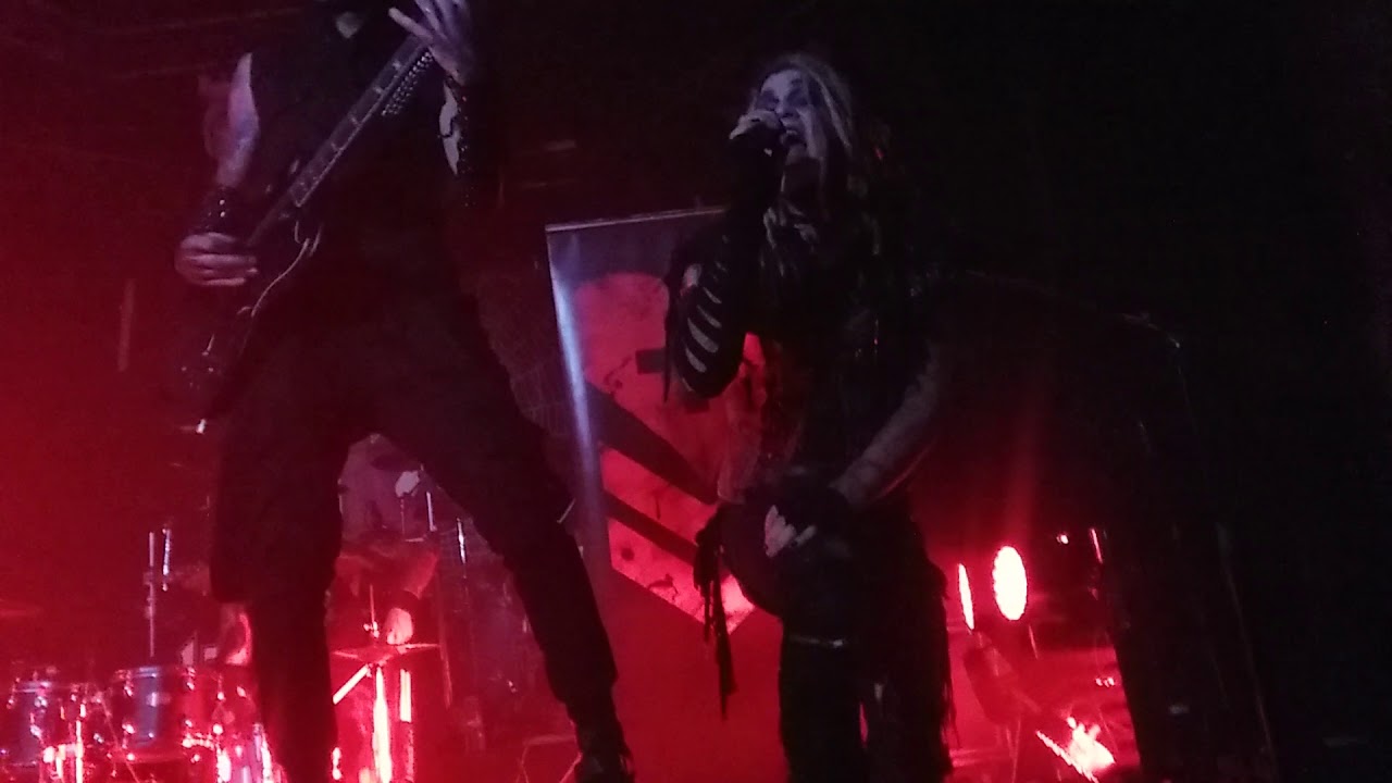 Davey Suicide 