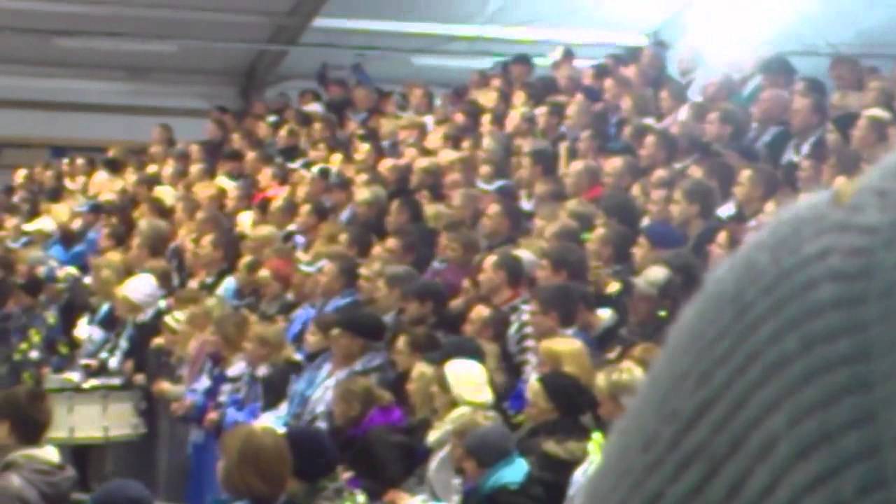 Icefighters Leipzig - Saale Bulls Halle Torjubel