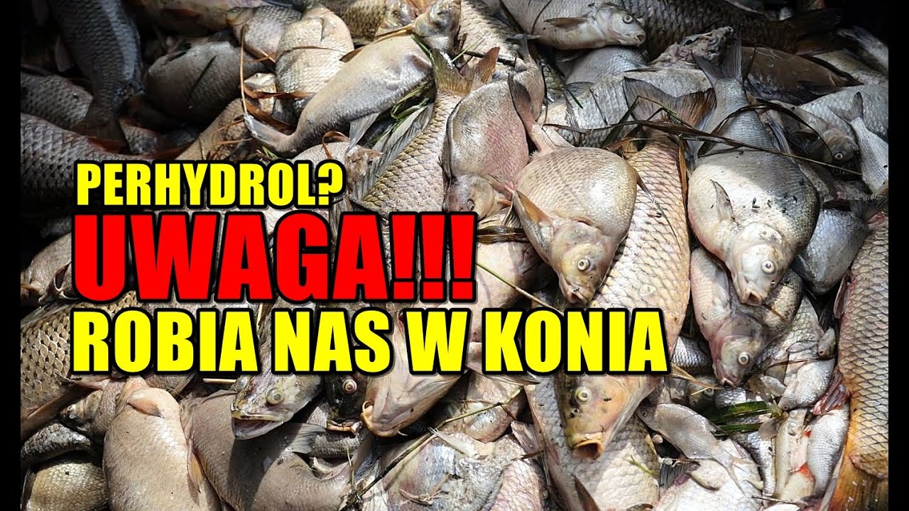 KATASTROFA DZIERŻNO DUŻE - ROBIĄ Z NAS D3BILI