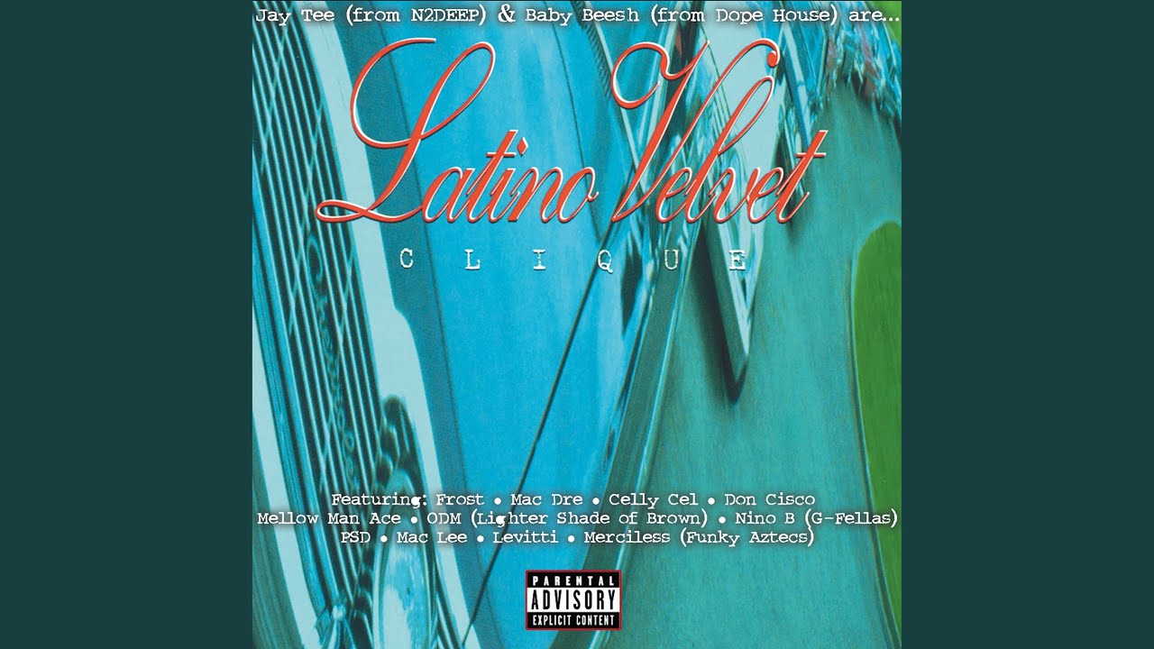 Latino Velvet