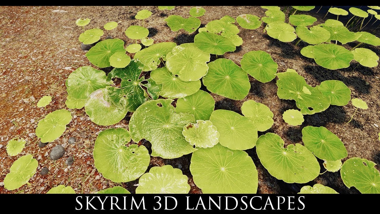 Skyrim SE Mods: Skyrim 3D Landscapes