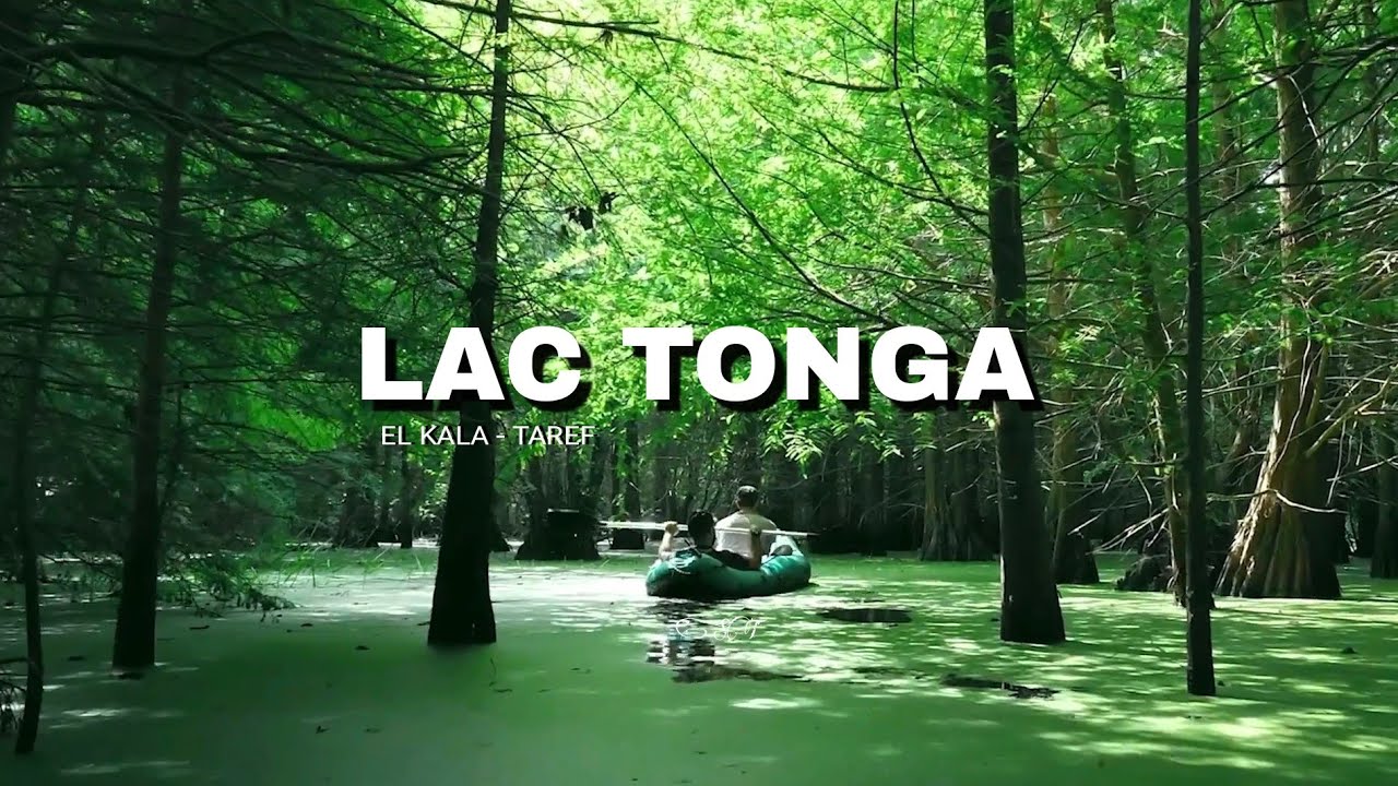 Lac Tonga El kala | بحيرة طونغا
