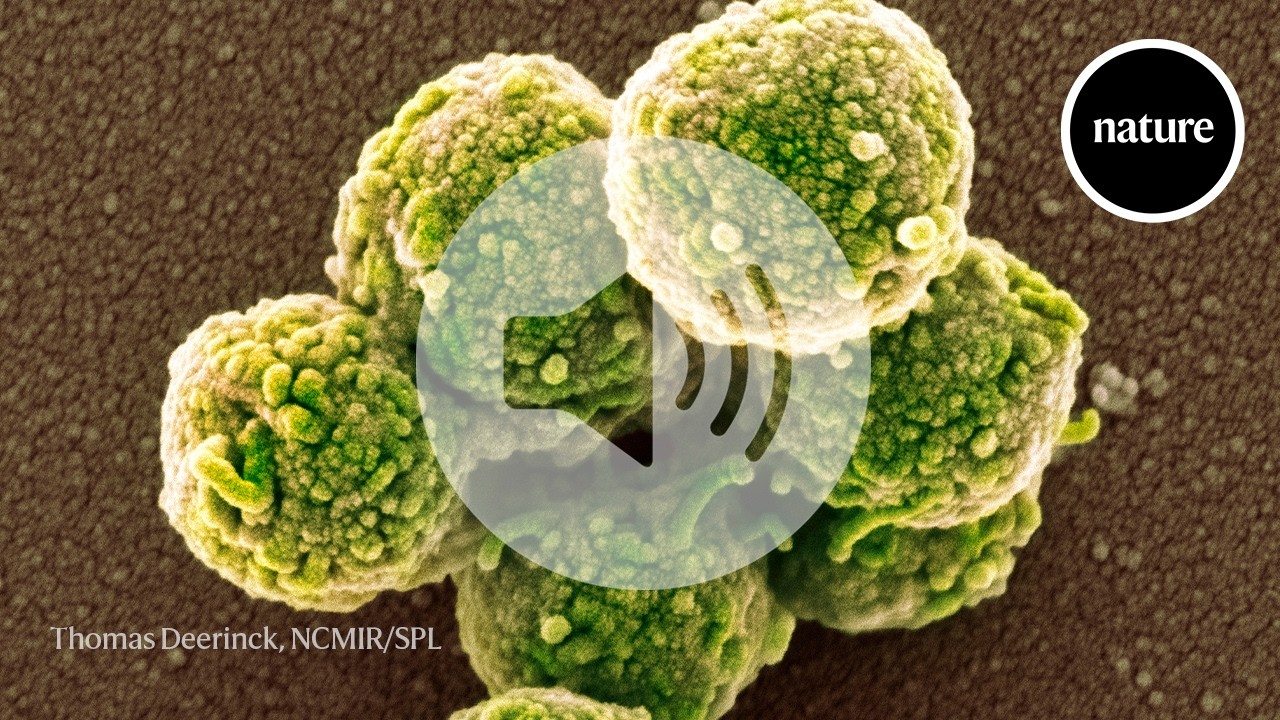Briefing Chat: 'Zombie cells' resurrected with new genes