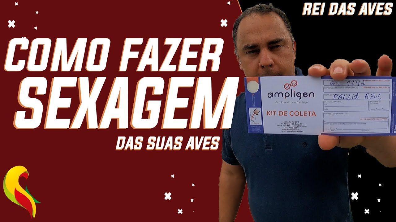COMO FAZER SEXAGEM DAS SUAS AVES